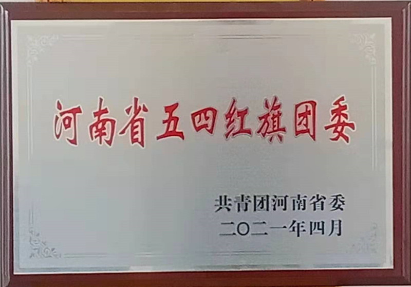 2021年河南省五四红旗团委(图1)